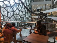 -1868 Café(上海自然博物馆店)
