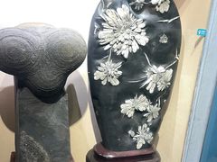 -河南自然博物馆