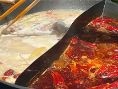 -朱光玉火锅馆(正弘城店)