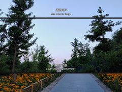 -森林公园(尖草坪区)