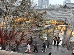 -小龙翻大江文化火锅(宽窄店)