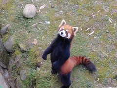 -西安秦岭野生动物园