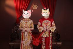 -金夫人婚纱摄影(华南店)