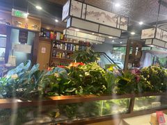 -洞庭家宴·头牌甲鱼(广渠门店)
