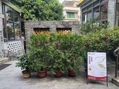 -周大娘牛乳(旧寨古村总店)