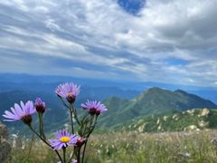 -白草畔自然风景区