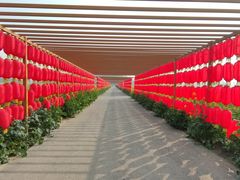 -中国天府农业博览园