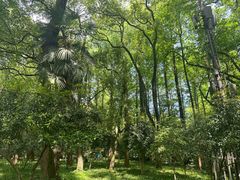 -杭州植物园