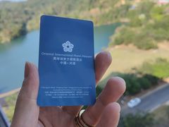 -河源万绿湖美思威尔顿酒店