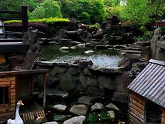 -上海千禧海鸥大酒店