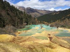 -黄龙山原始森林景区