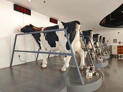 -蒙牛工业旅游景区