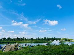 -春花秋色城市公园