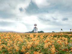 -江苏三台山国家森林公园