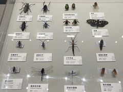 -四川大学博物馆
