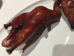 -东富酒家(龙湖西溪天街店)