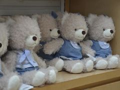 -济州岛泰迪熊博物馆