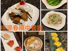 -桃源春晓中餐厅 TaoYuan Restaurant