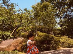 -南山植物园