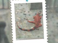 -上海大自然野生昆虫馆(东方明珠·爬宠昆虫探索中心)