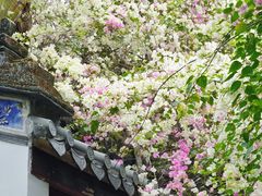 -深圳国际园林花卉博览园