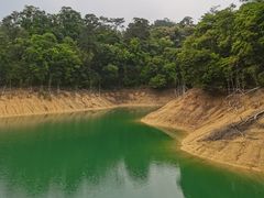 -广州市流溪河国家森林公园