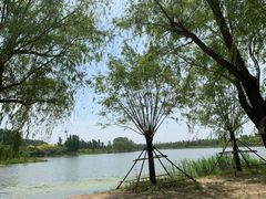 -东郊湿地公园