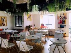 大堂-Husky Go! 哈士奇体验馆·宠物咖啡厅狗咖