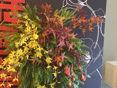 -同庆楼(奥体中心店)