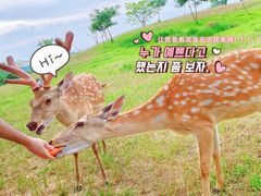 -良渚古城遗址公园
