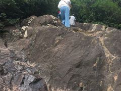 -杭州半山国家森林公园