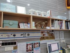-瑞派名望志远动物医院·猫科·內科·异宠专科(直港大道店)