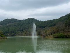 -广州白江湖森林公园