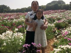 -松山湖梦幻百花洲