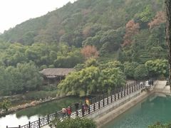 -九龙潭景区