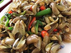 炒海瓜子-蛇口康乐快餐鱼仔档(翠苑小区店)