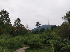 -开福禅寺
