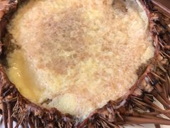 -海胆小馆(东北水饺·春柳店)