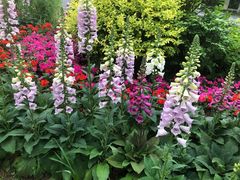 -樟葶谷寿司(椒江店)