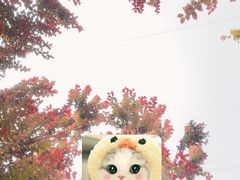 -老君堂公园