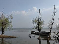 -洱海月湿地公园