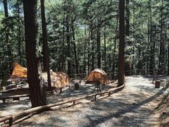 -重庆睡佛山森林公园