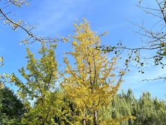 -西安汉城湖景区