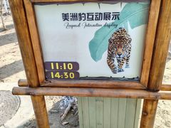 -北京野生动物园