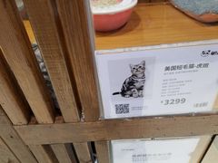 -龟与熊猫宠物公园(南坪店)