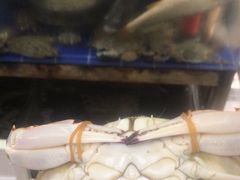 -阿杰臻选海鲜饭店(普陀山店)