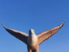 -巨鹰广场