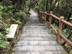 -铁山坪森林公园