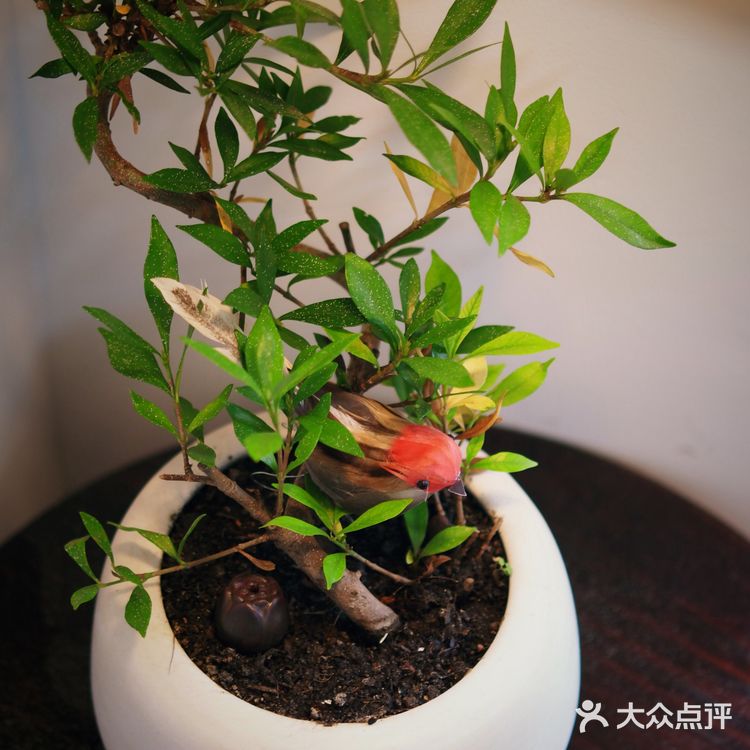 新店寫實|是旦求其,這幾杯特調我愛了!