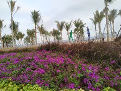 -大梅沙海滨公园